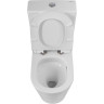 Унитаз-компакт безободковый BELBAGNO BB2149CP-TOR/BB2149T/BB865SC