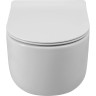 Унитаз подвесной безободковый BELBAGNO SOFT-TOR BB084CH-TOR/BB2111SC